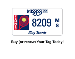 Buy or Renew Your Car Tag Today